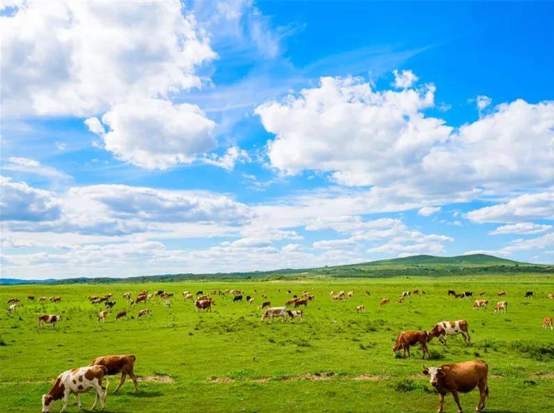 内蒙古，草原文明的辉煌篇章