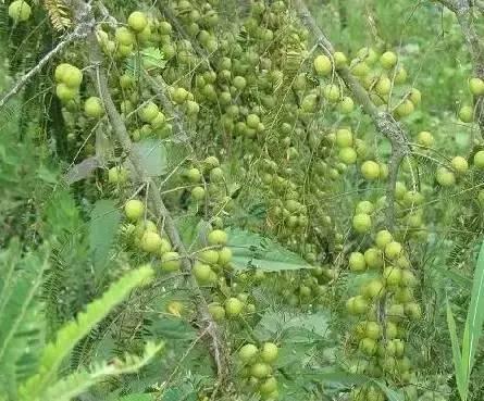 海南,热带风情与独特魅力的评论