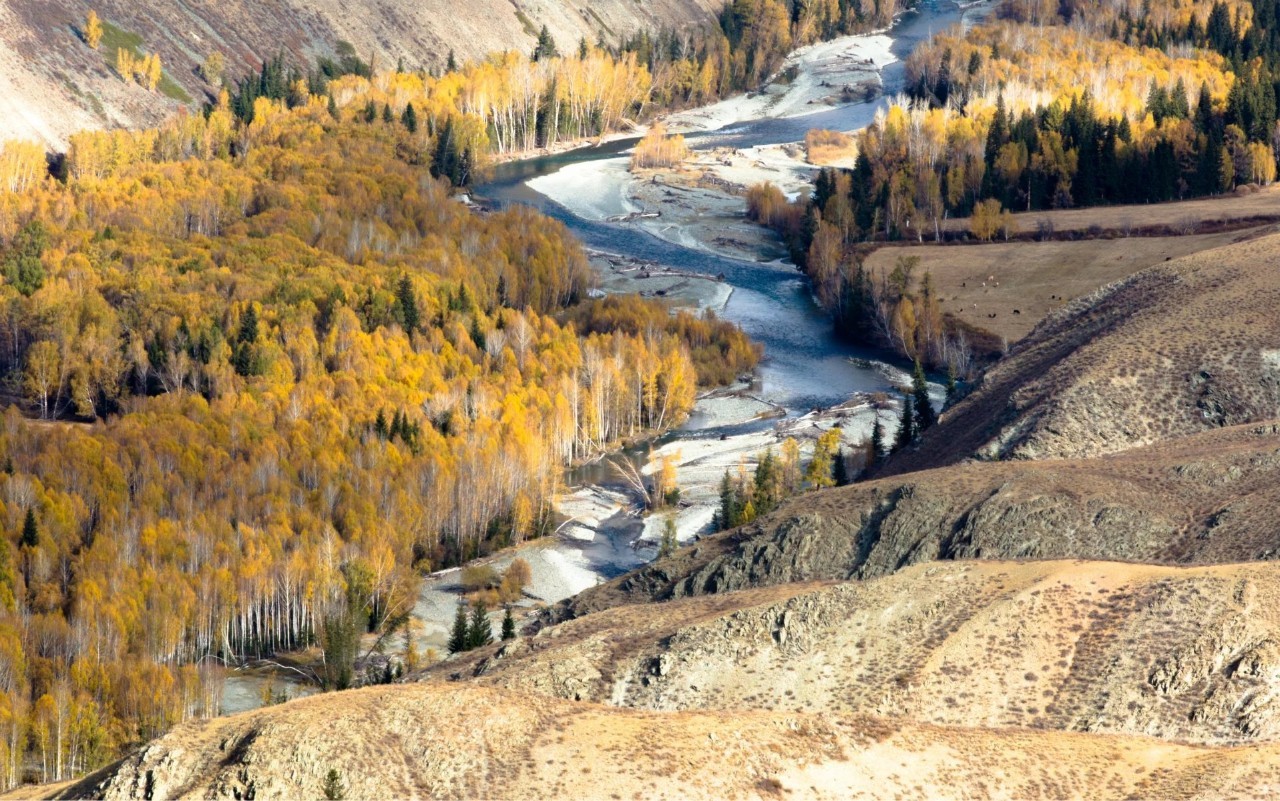 新疆，秘境之美与无限商机探索