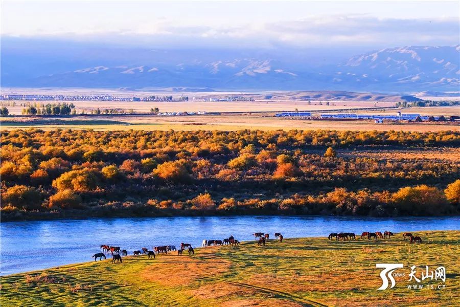 新疆阳光，温暖日常时光